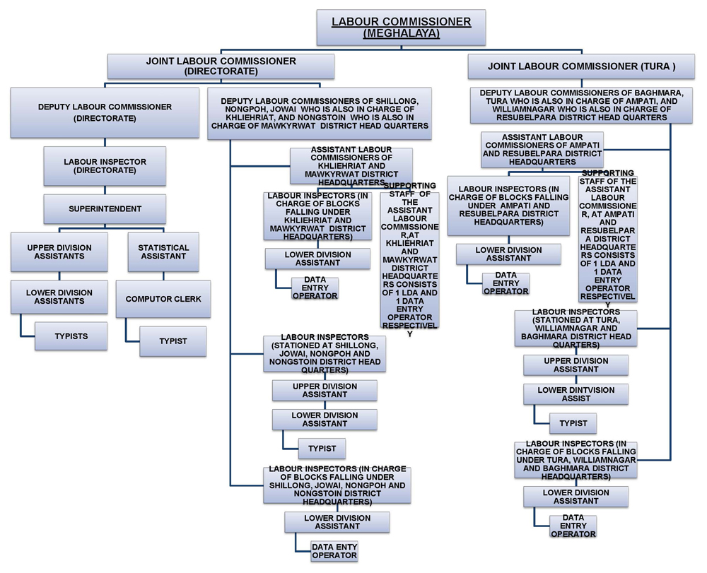 Organizational Structure